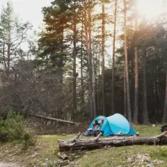 Deux jeunes femmes profitent d'un moment de **camping sauvage en Allemagne**, blotties dans leur tente bleue au milieu d'une forêt de pins ensoleillée.