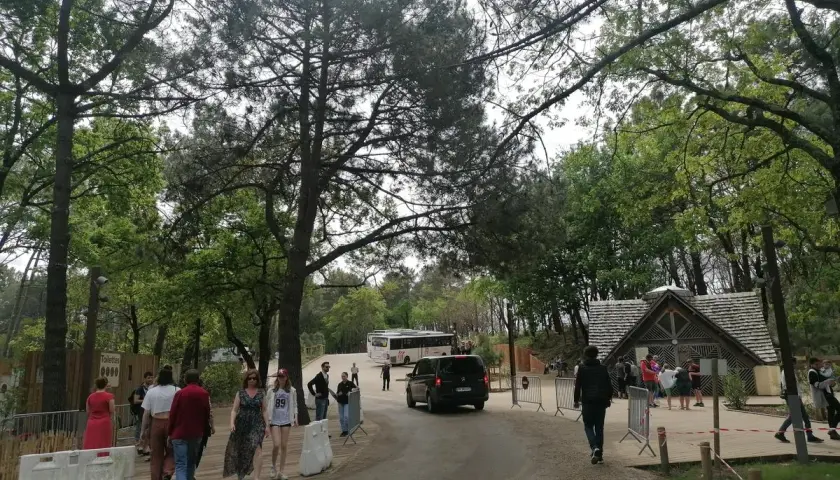 L'aire de camping-car près de la Dune du Pilat accueille des visiteurs. Des bus et des voitures circulent sur la route bordée d'arbres.