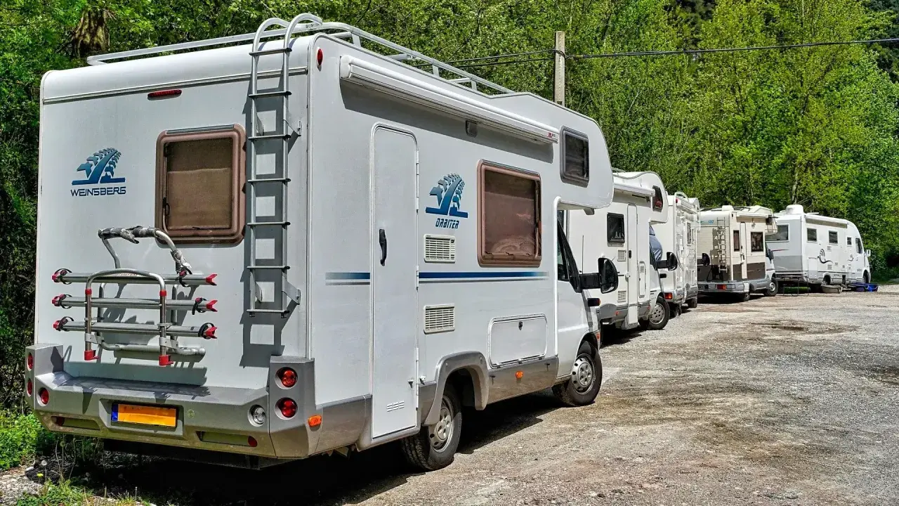 Une file de camping-cars, dont un camping car 10 mètres, stationnés sur un chemin de gravier, entourés de verdure.