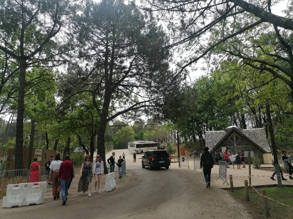 L'aire de camping-car près de la Dune du Pilat accueille des visiteurs. Des bus et des voitures circulent sur la route bordée d'arbres.
